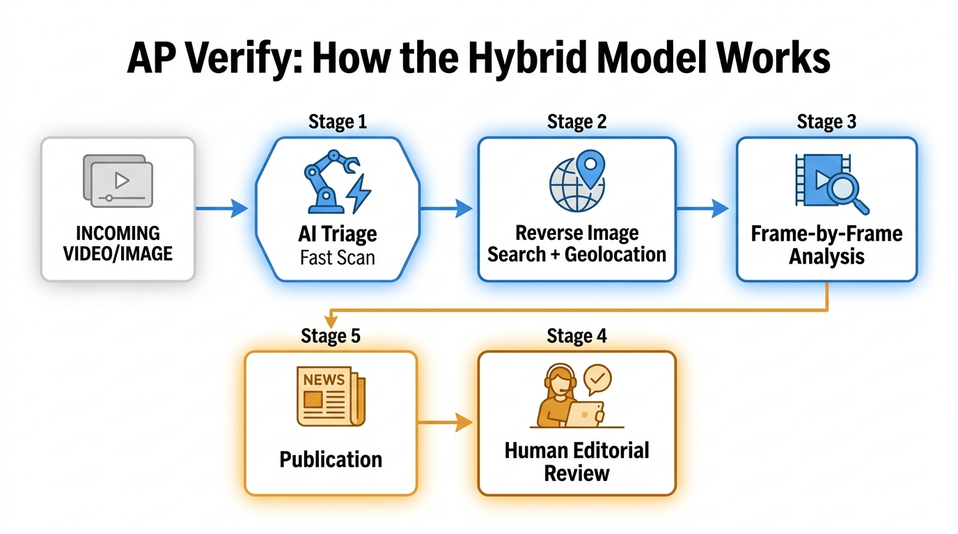 Flowchart diagram showing the AP Verify hybrid verification workflow from AI triage through human editorial review to publication