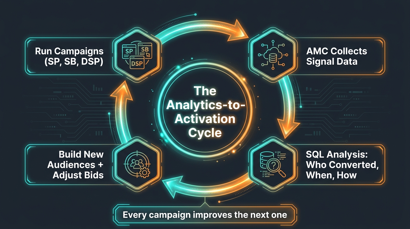 The analytics-to-activation cycle showing how AMC campaign data feeds back into improved audience targeting