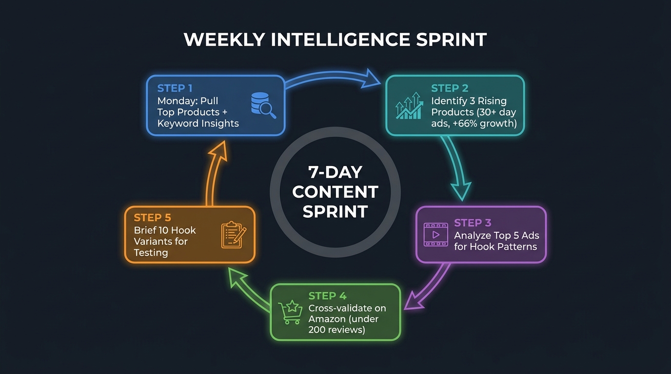 Weekly intelligence sprint workflow for TikTok sellers showing 5-step process from data pull to hook testing